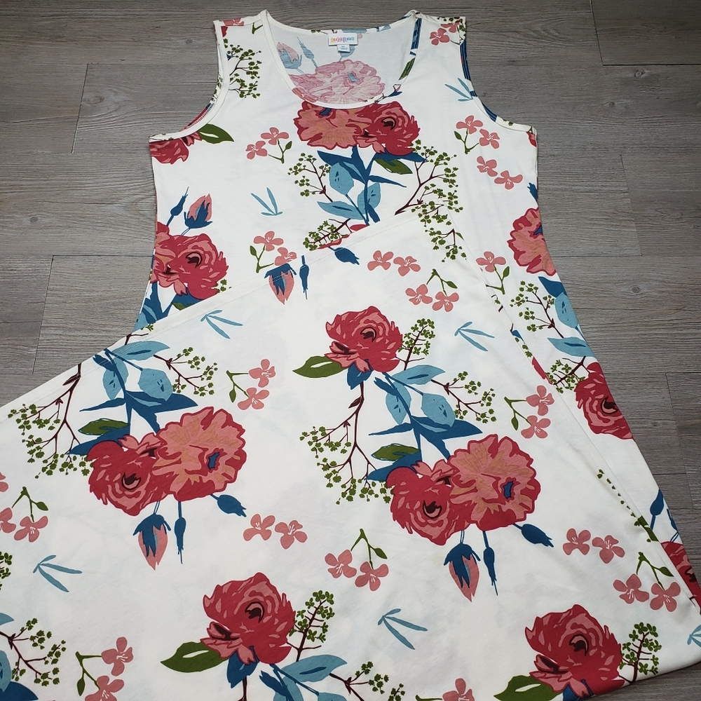 LuLaRoe Dani dress